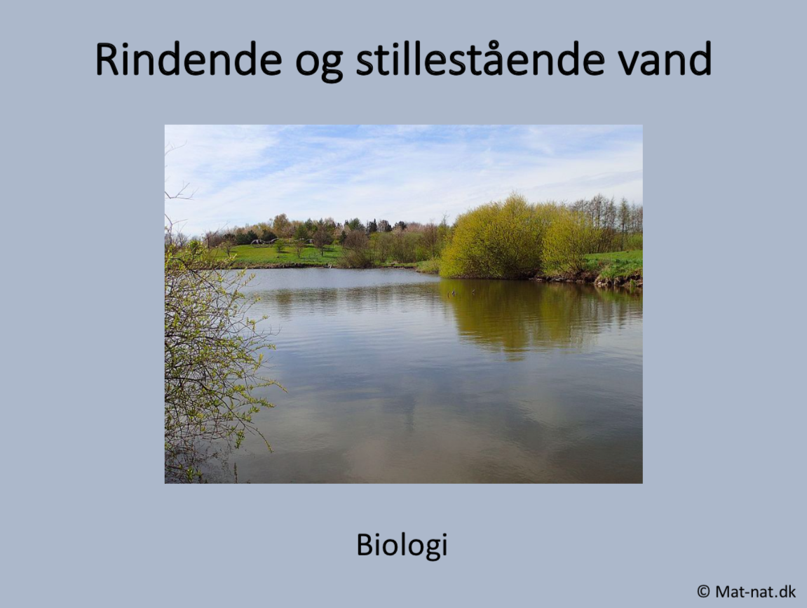 Rindende og stillestående vand – lærertavler – powerpoint