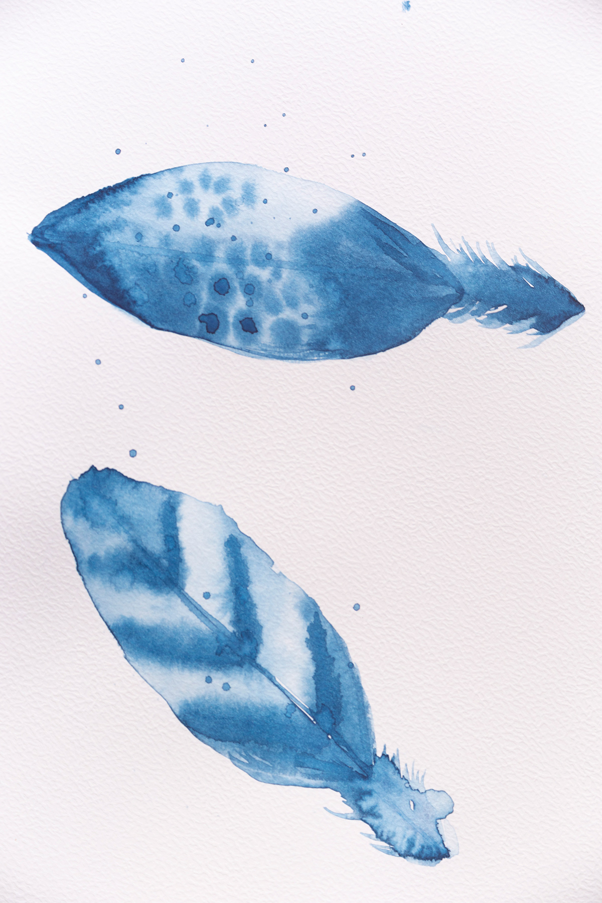 Plumes indigo, aquarelle réalisée par Mathilde Troussard