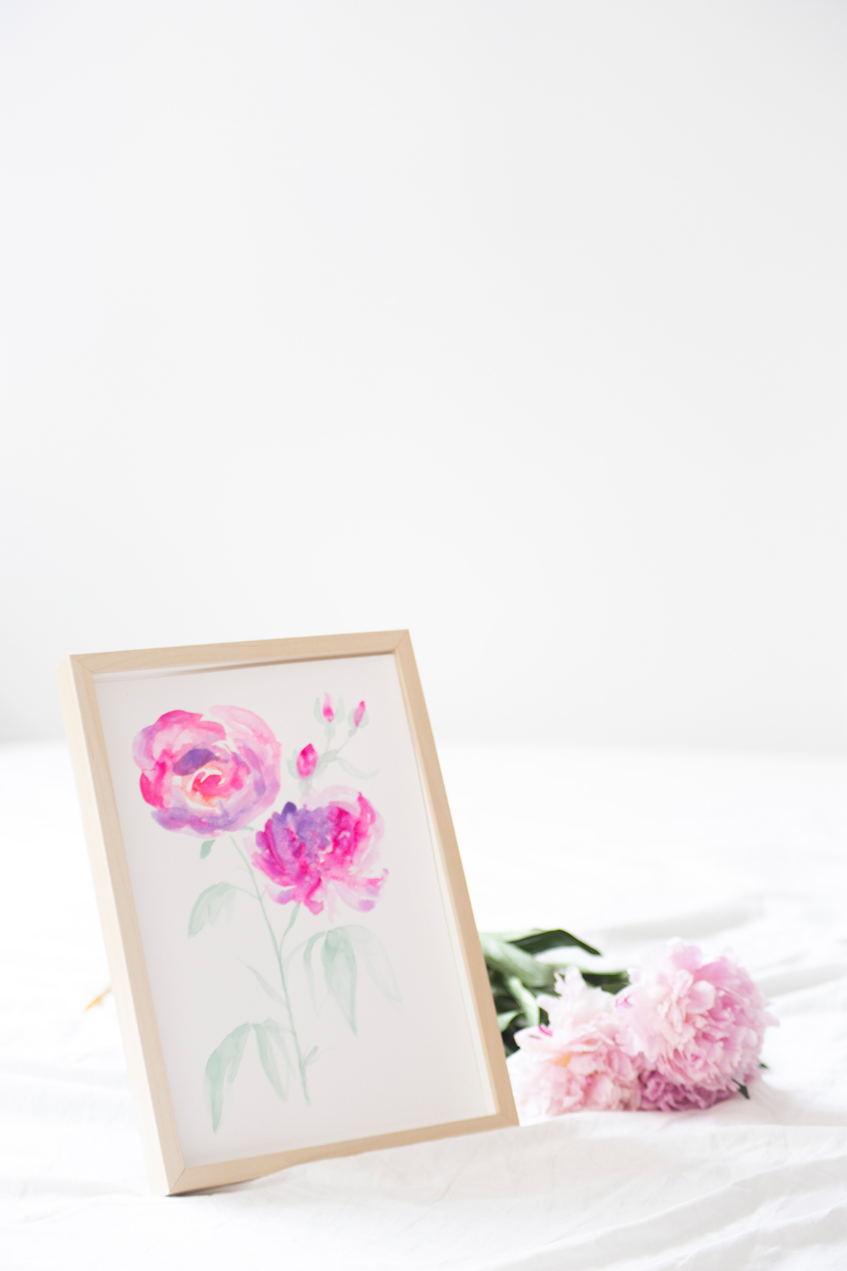 Pivoines, aquarelle réalisée par Mathilde Troussard