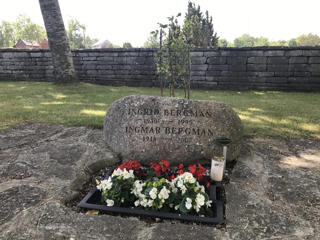 Fårö saker att göra