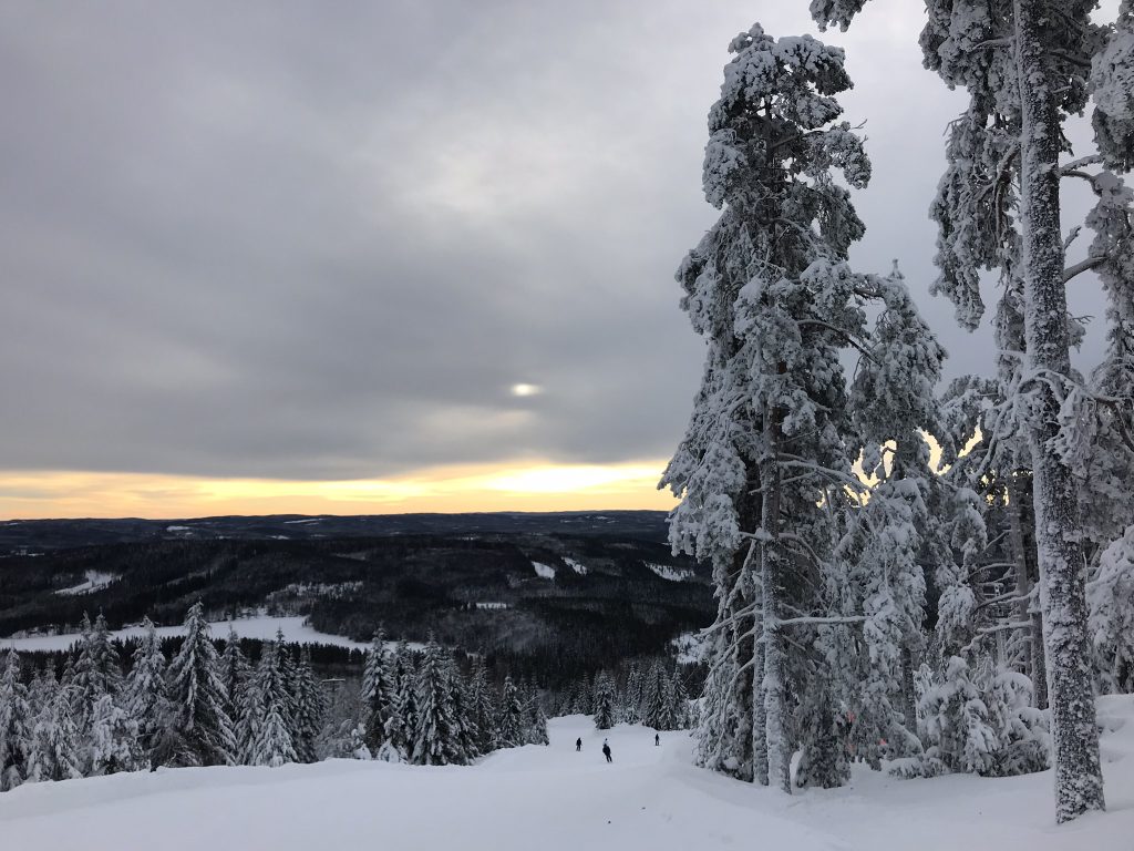 Romme Alpin utan köer