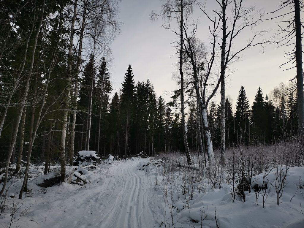 Längdskidåkning i Bergebo