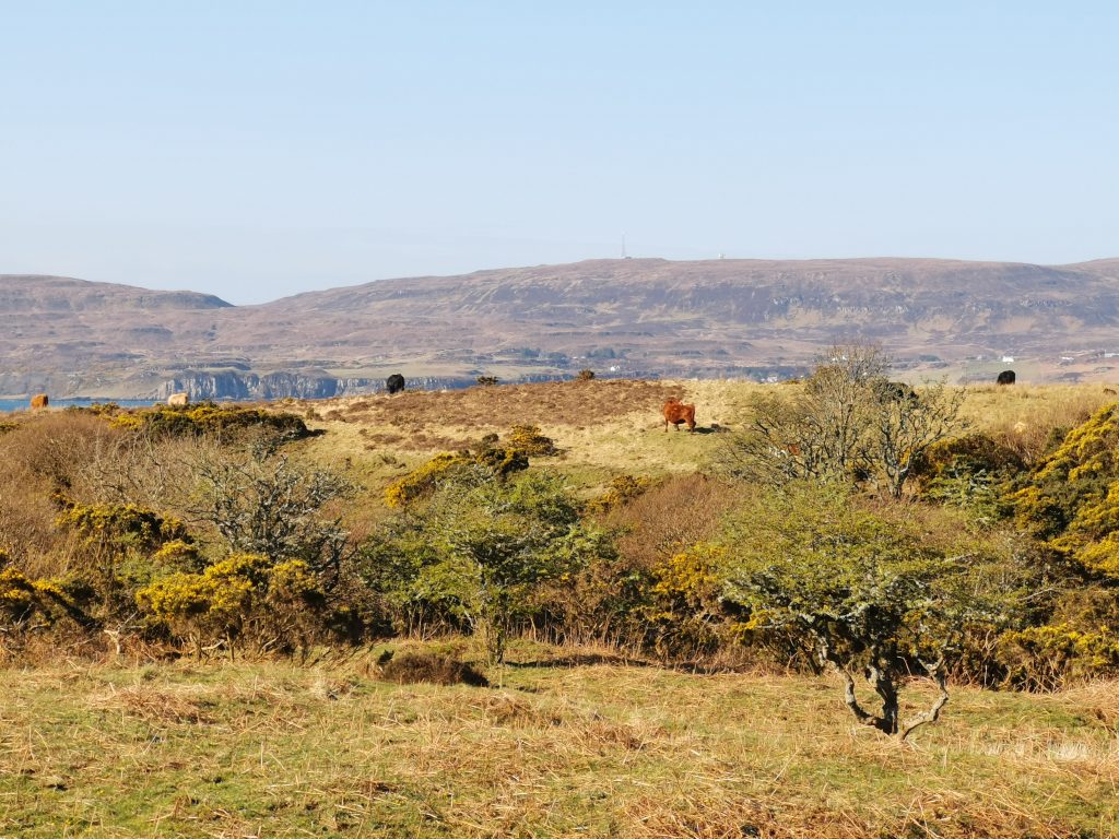 Coral Beach på Isle of Skye