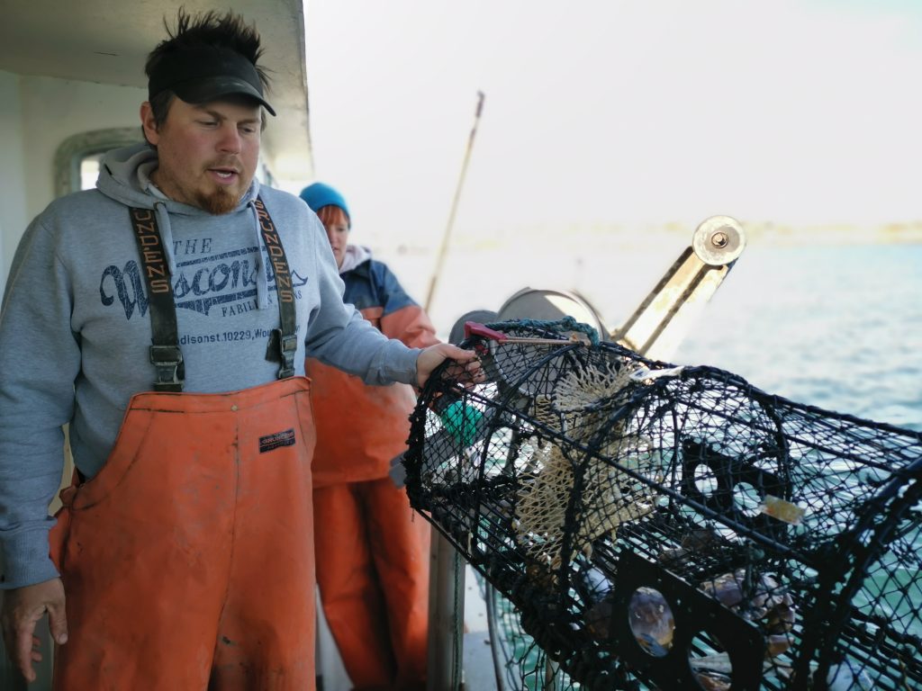 Hummerfiske i Fiskebäckskil