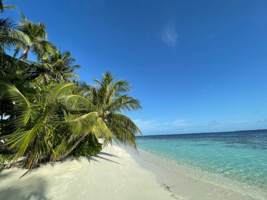 Vilamendhoo island resort & spa i Maldiverna