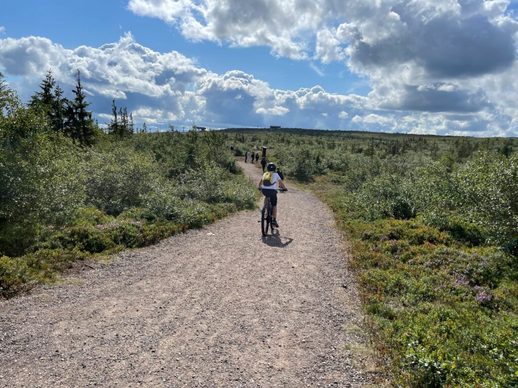 Cross country-cykling i Sälen