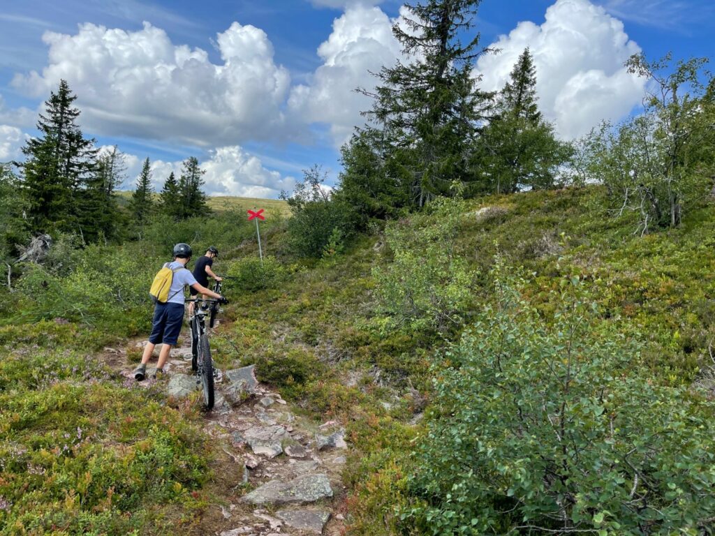 Cross country-cykling i Sälen