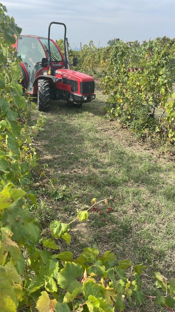 Besöka vingård i Italien - Gianni Ramello Winery