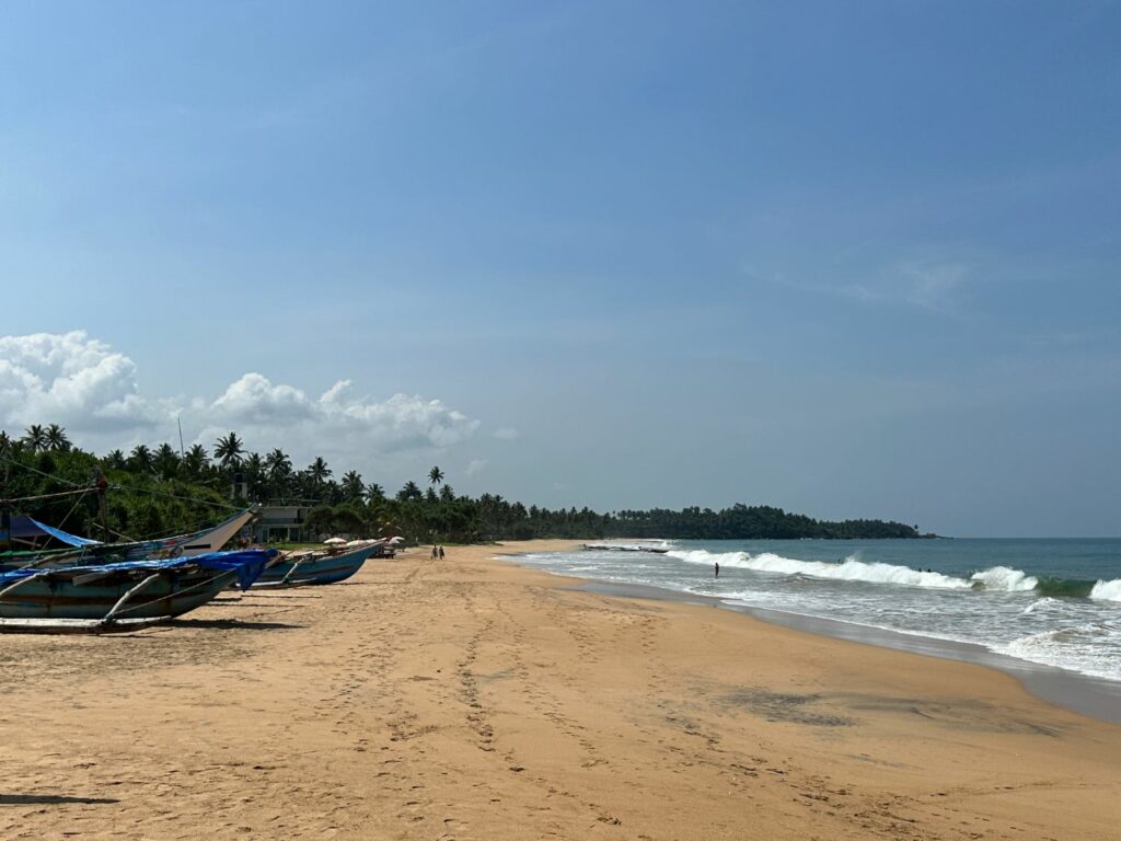 Halvsköldpaddor på Sri Lanka hos Victor Hasselblad Sea Turtle research & conservation centre