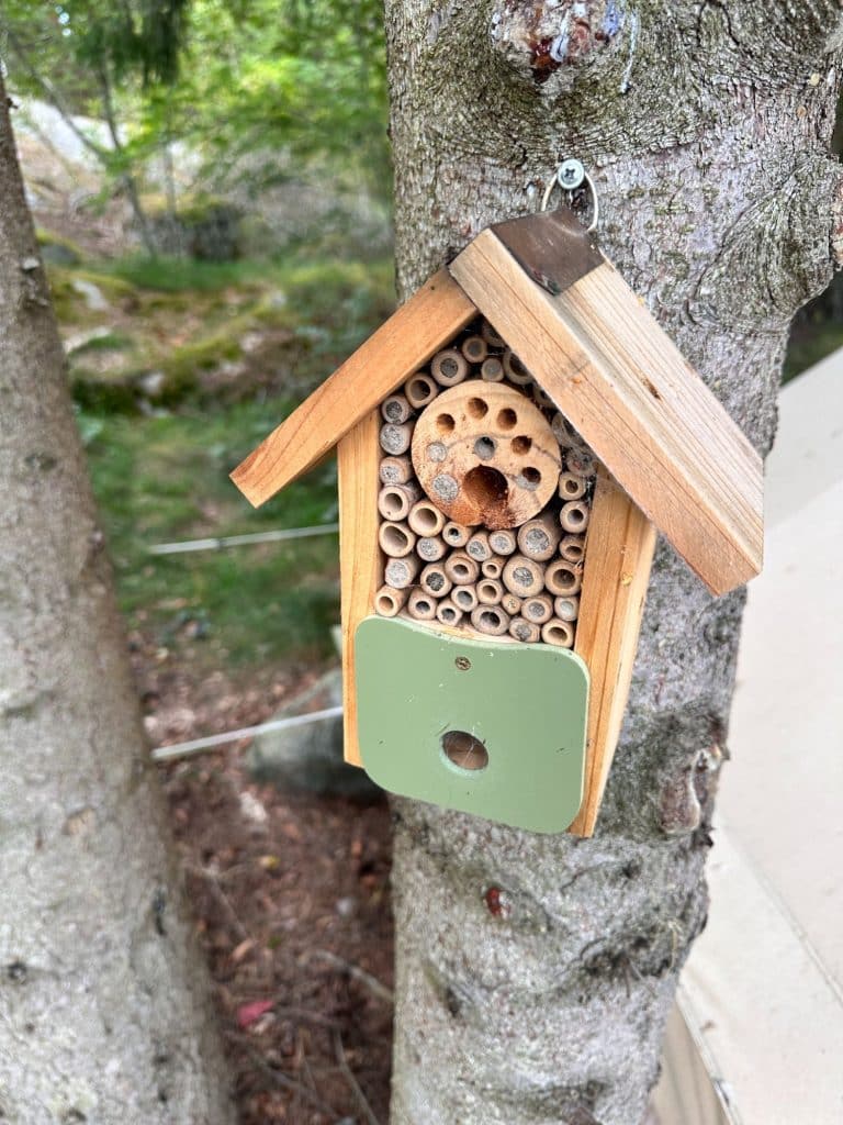 Glamping i Stockholms skärgård på Svartsö Logi