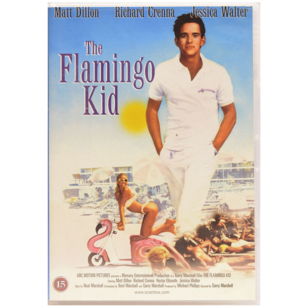 The Flamingo Kid