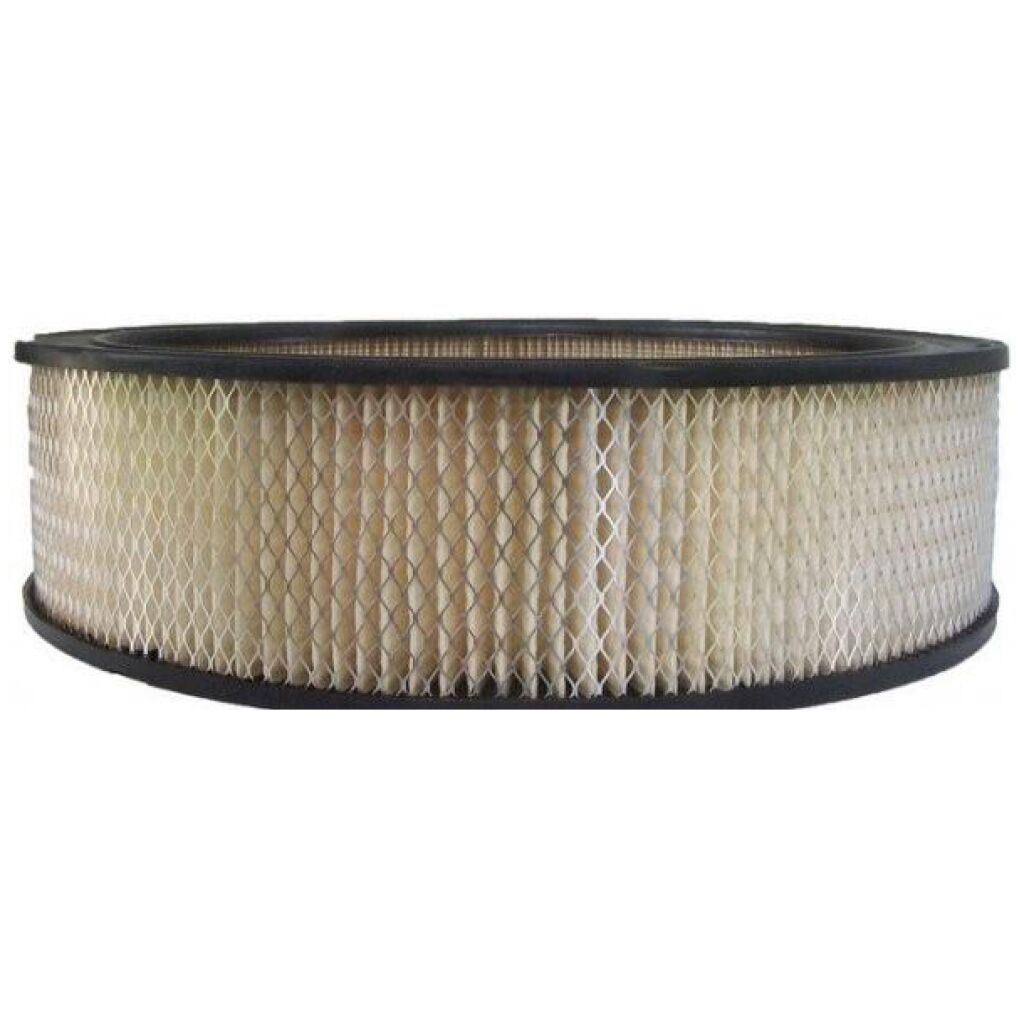 LUFTFILTER BUICK PONTIAC V8 1980-81, AF756