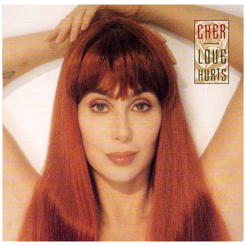 Cher - Love Hurts (CD, Album)