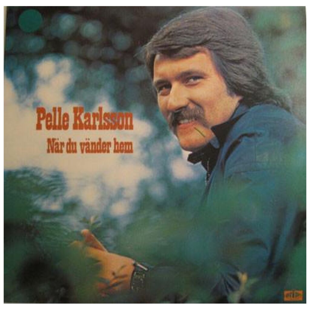 Pelle Karlsson - När Du Vänder Hem (LP, Album)