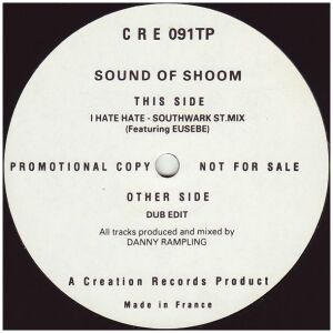 The Sound Of Shoom Featuring Eusebe* - I Hate Hate (12, Promo)