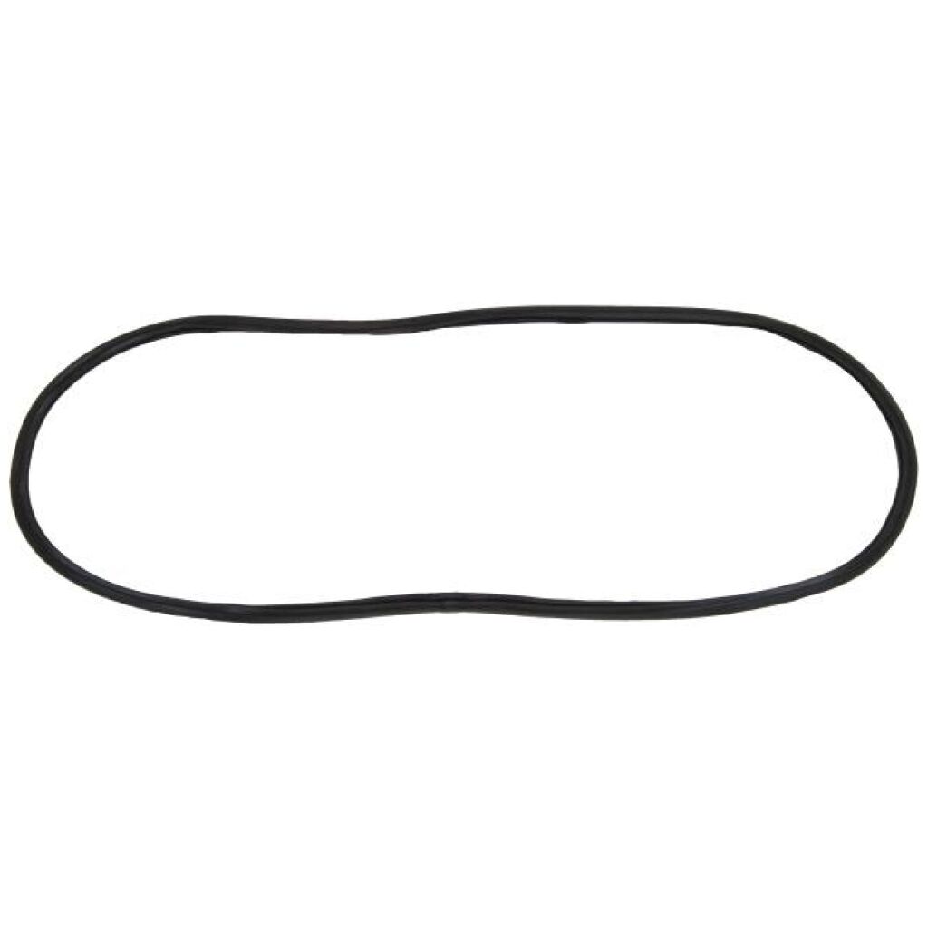 Windshield Gasket