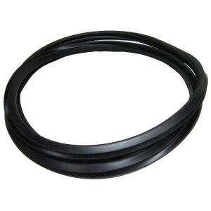 Windshield Gasket