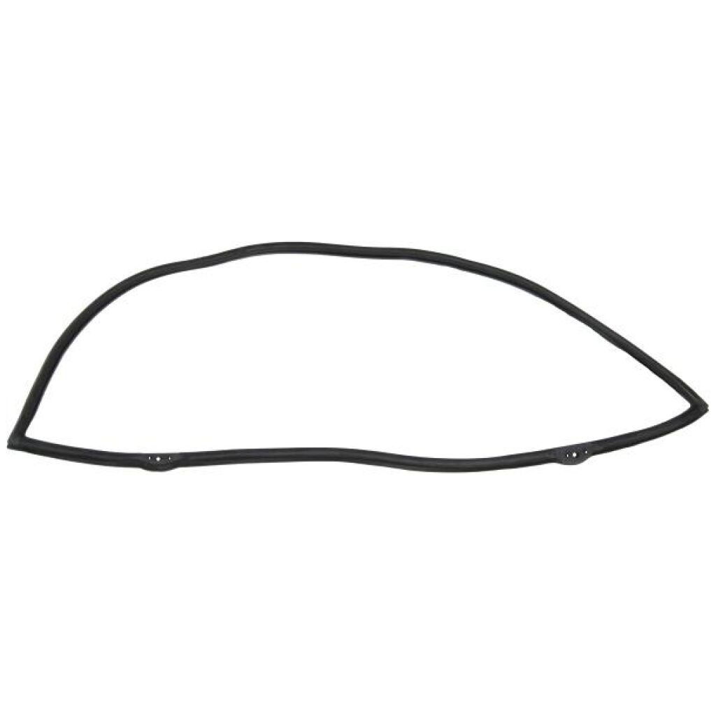 Windshield Gasket