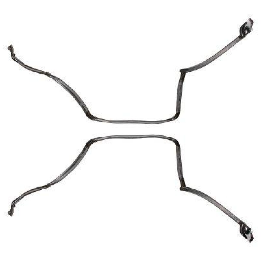 T-Top Roof Rail Weatherstrips - FISHER Tops 1978-81 2dr Chevrolet Pontiac