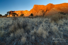 Versteinerte Dünen der Urnamib