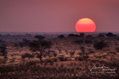 Abendfarben der Kalahari