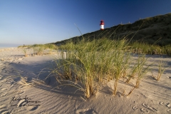 Sylt Leuchtturm List Ost