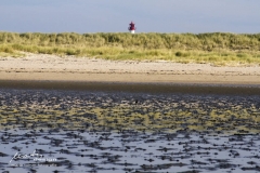 Sylt Watt am Ellenbogen