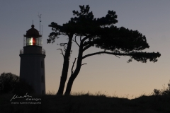 Dornbusch Hiddensee