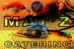 MATZ-Cover-Image-12
