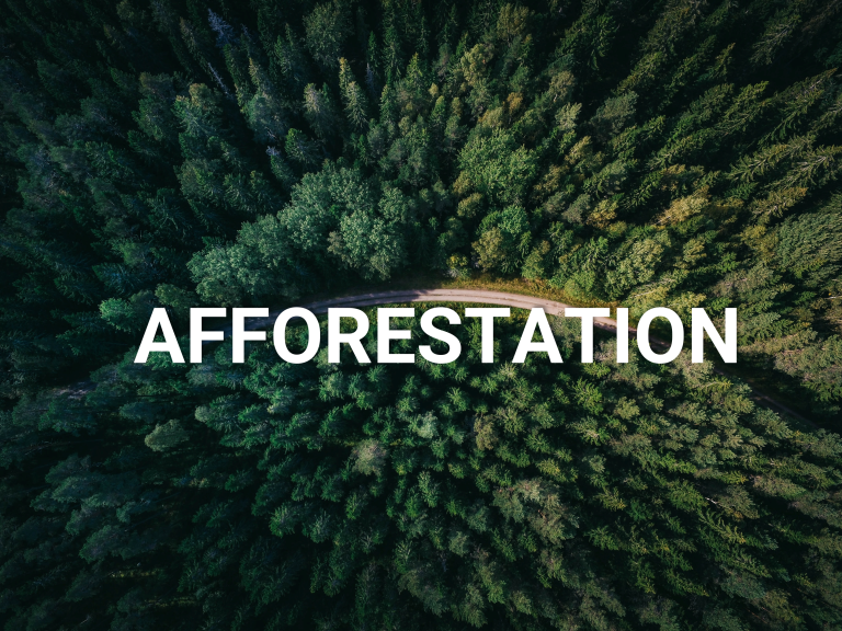 Afforestation-Business-Model-Sustainable