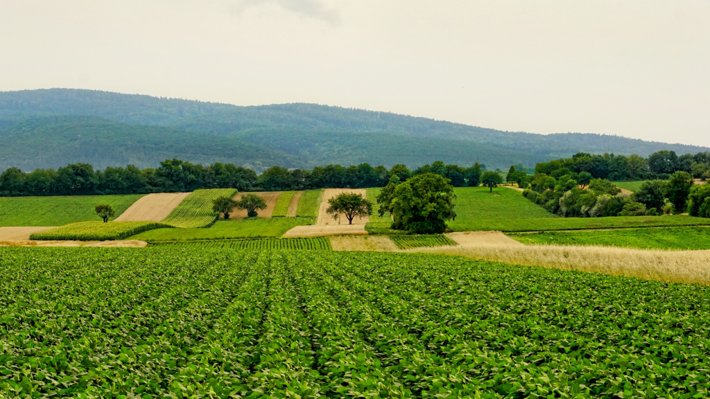 afican-agricultural-myths