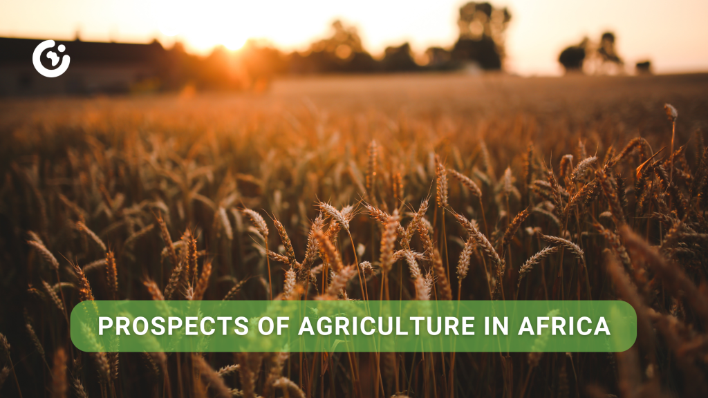 prospects-of-agriculture-in-africa