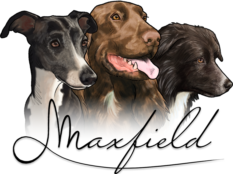 ~ Maxfield kennel ~