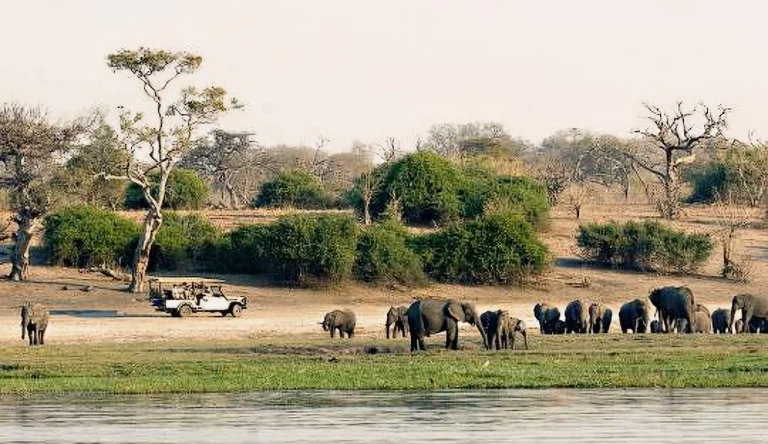 Botswana-01-galleri-1024-webp