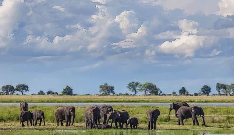 Botswana-06-galleri-1024-webp