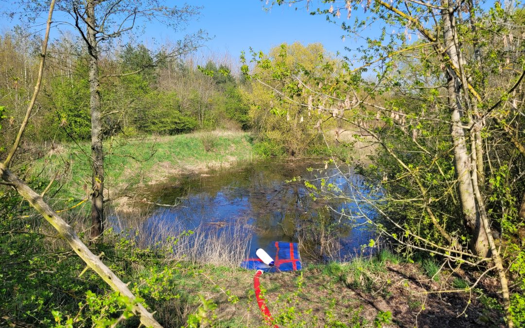 Blaue Perlen in der Hönower Weiherkette