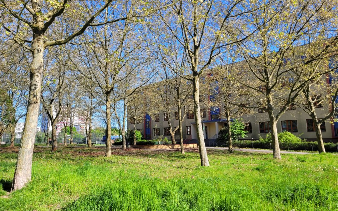 Ergänzungsbau für die Caspar-David-Friedrich-Oberschule