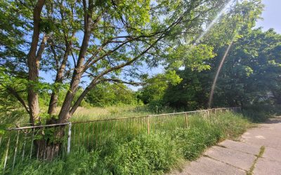 Beschlüsse ignoriert: Grünfläche in der Hoyerswerdaer Straße soll bebaut werden