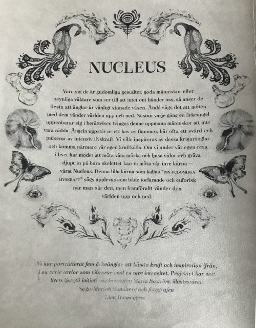 Nucleus MBosArts