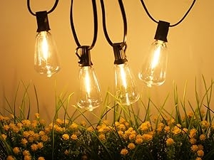 string lights with Edison bulbs