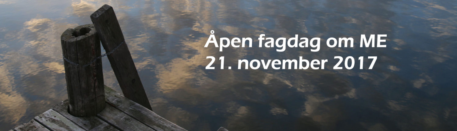 banner forskningskonferanse 2017 fagdag