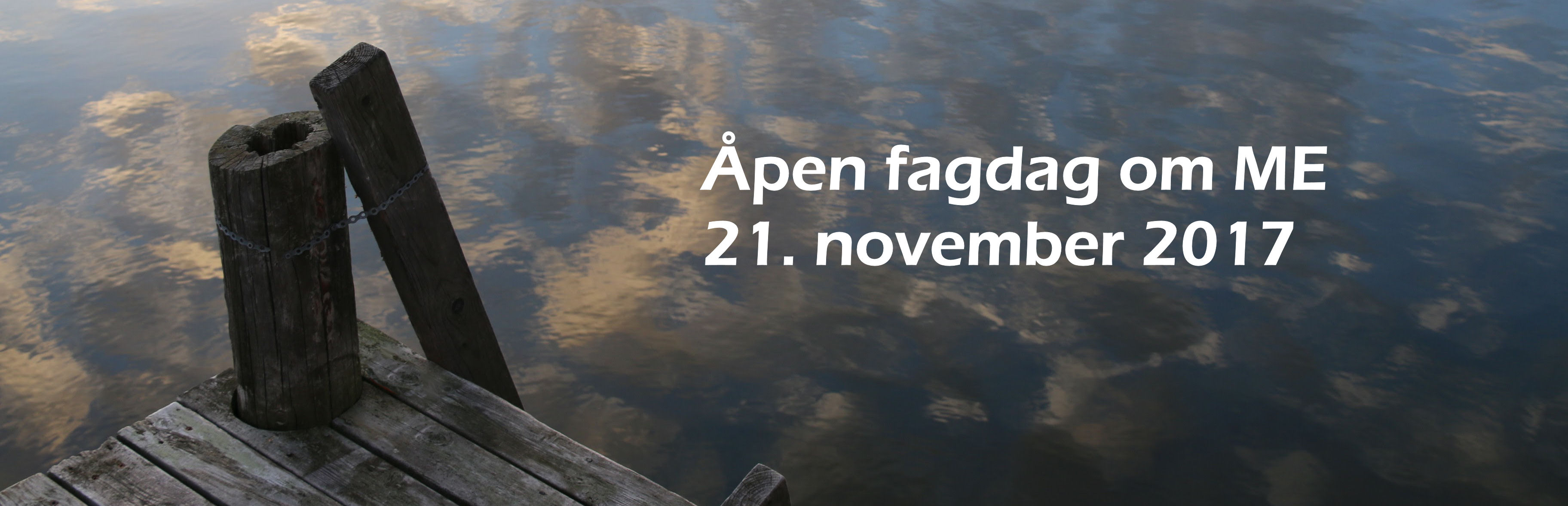 banner forskningskonferanse 2017 fagdag