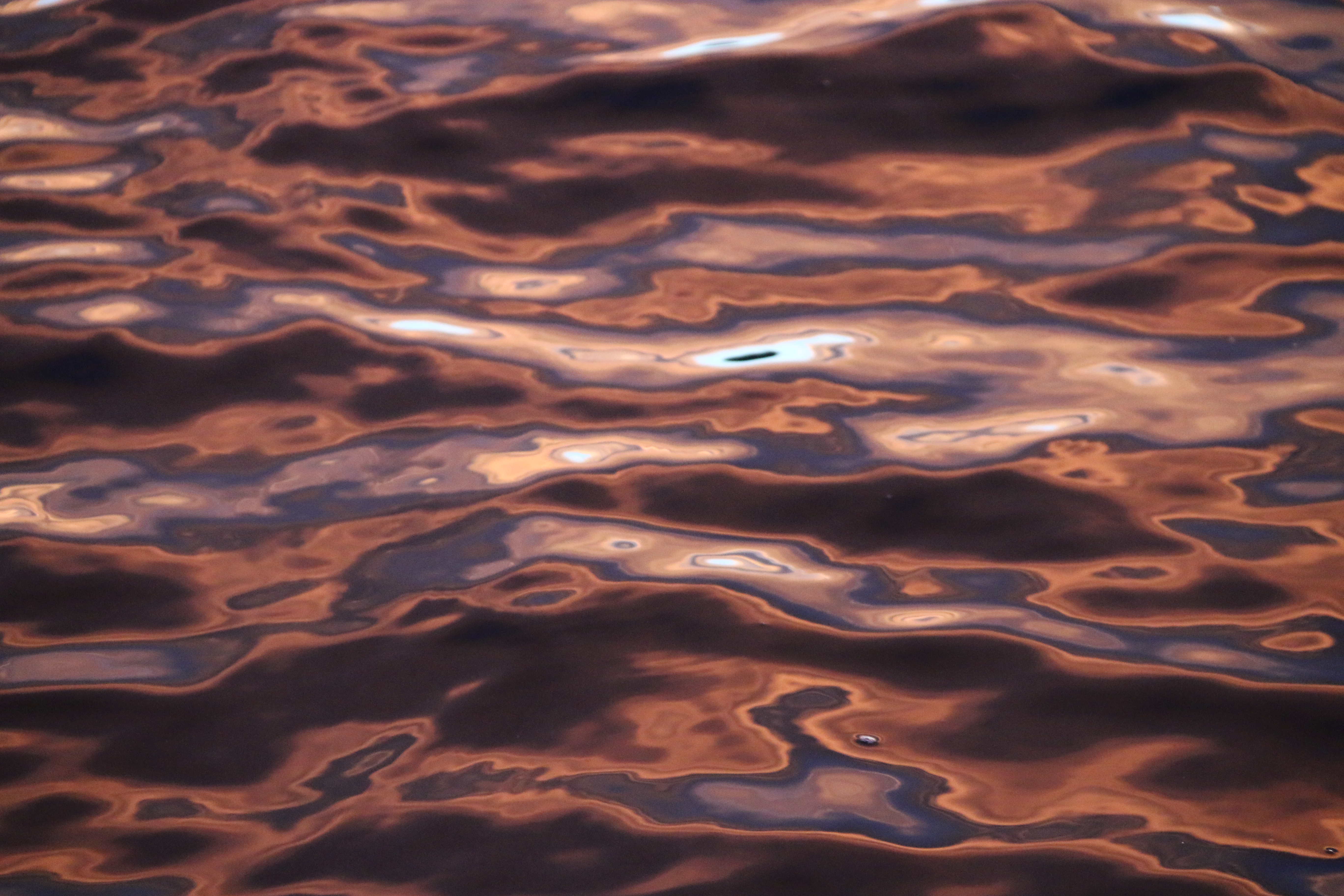 Refleksjoner vann pent bilde