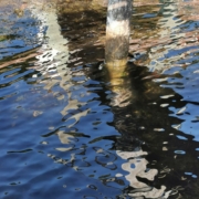 refleksjoner i vann