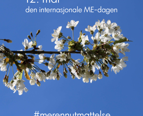 Den internasjonale ME-dagen, kirsebærblomster blå himmel
