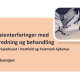 Tittelsiden til kortversjon av rapporten.