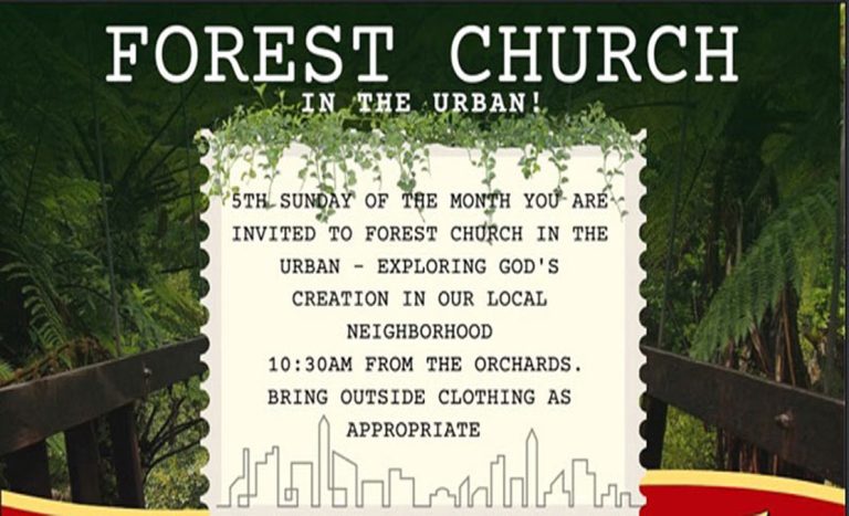 Forest Church – 29th June