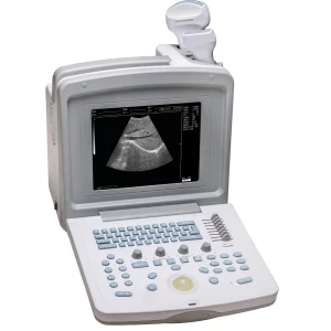 ultrasound web