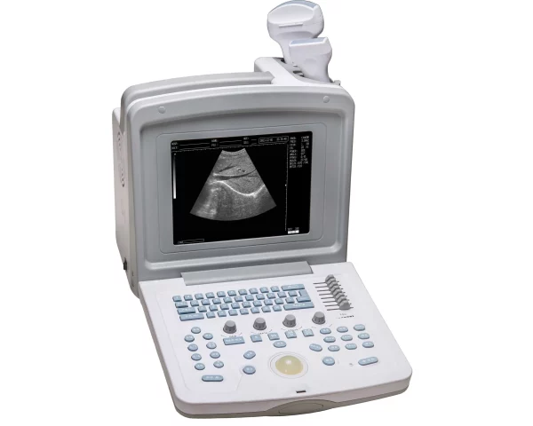 ultrasound web