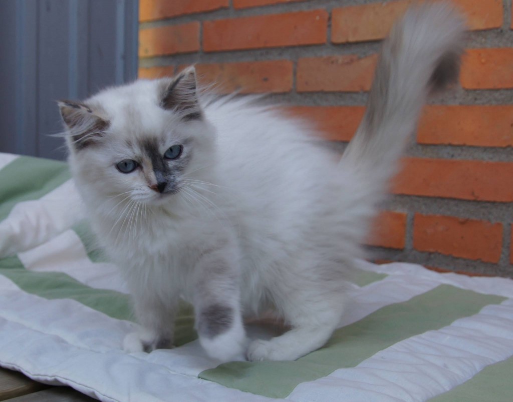 10505246_10204378430717952_2593304749664589133_o